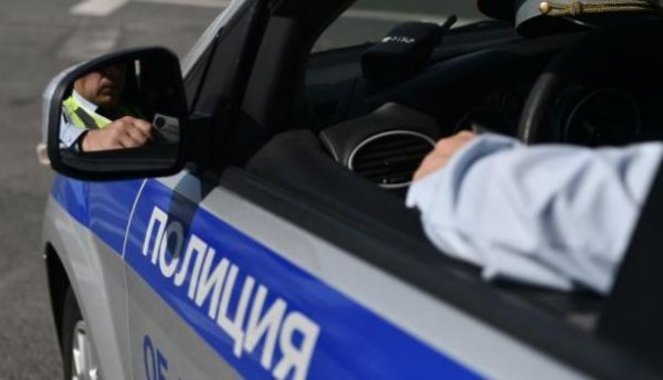 18-летний калининградец на полупони поймал серийного грабителя - «Новости»