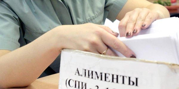 Долги россиян по алиментам обновили исторический рекорд - «Политика»