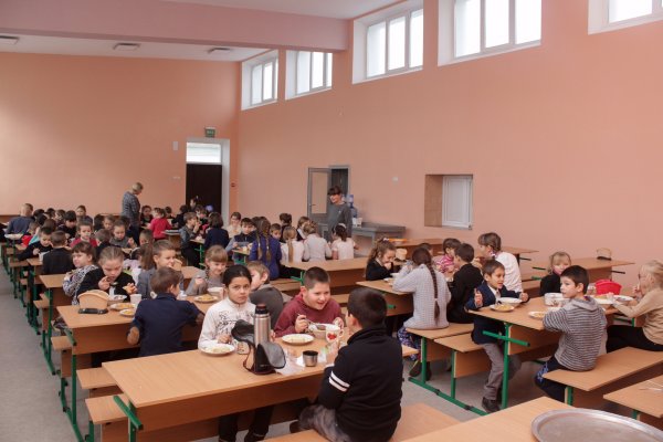 «Едет ревизор»: В украинские школы отправились проверки - «Новороссия»