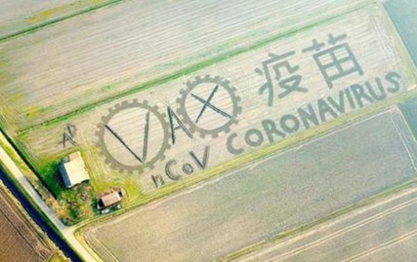 Художник "создал" коронавирус на поле с помощью трактора - «В мире»