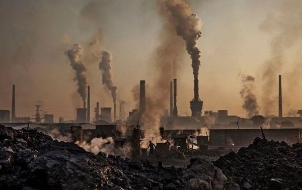 Каждый день мир теряет от загрязнения воздуха $8 млрд – Greenpeace - «В мире»