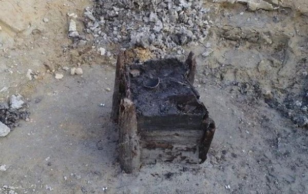 Обнаружена древнейшая деревянная постройка в истории - «Наука»