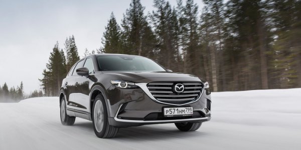 Под налог на роскошь в 2020 году попали массовые автомобили - «Автоновости»