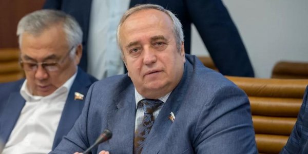 Пора заканчивать дискуссию: Клинцевич поддержал поправку в Конституцию о запрете на отчуждение территорий - «Политика»