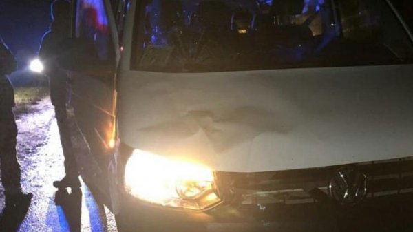 Срочник ВСУ сбил насмерть пешехода во Львовской области - «Новороссия»