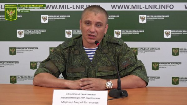 Украинские боевики устроили провокацию у Голубовского для срыва заседания Совбеза ООН - «Новороссия»