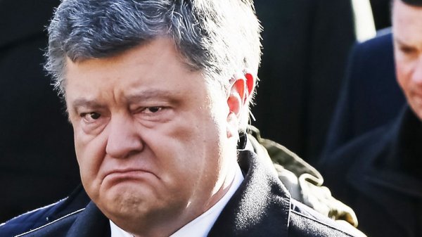 В «годовщину майдана» Порошенко поплакал над покрышкой в Киеве - «Новороссия»