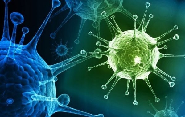 В Китае сообщили о прорыве в лечении коронавируса - «Наука»