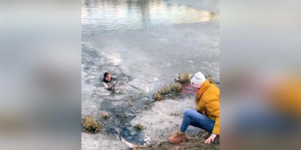 В Мытищах мать троих детей прыгнула в ледяной пруд, спасая собаку - «Политика»