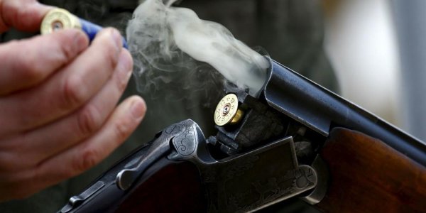 В Петербурге пенсионер обстрелял из ружья избивших его в подъезде пьяниц - «Политика»