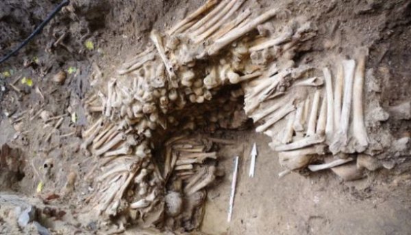 В соборе Бельгии нашли стену из человеческих костей - «Новости»
