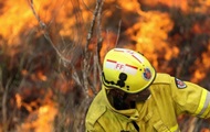 В Австралии из-за пожаров полностью исчез один из видов животных - «Фото»