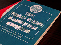 Женщину, посадившую ребенка за руль каршеринговой машины, оштрафовали на 4 тыс. рублей - «Автоновости»