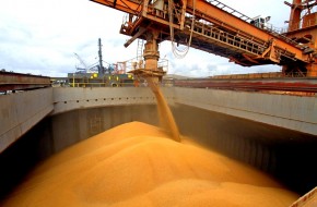 Хлебом не корми: российская пшеница стала дороже нефти - «Экономика»