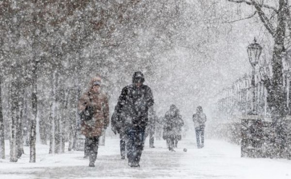 Аномалии погоды-2020: Зима пришла в марте с перепадами температур до 20 градусов - «Общество»