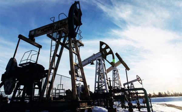 Это будет пострашнее обвала нефтяных цен, или Чем Путин ответит Трампу - «Политика»