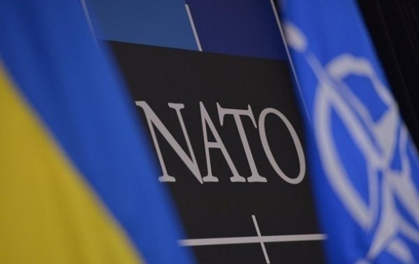 НАТО протестирует в Украине пилотную программу партнерства - (видео)