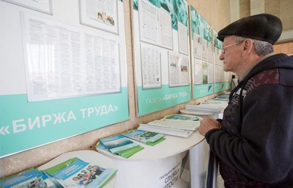 Правительство Мишустина отнимет у нас последние рабочие места в пользу мигрантов - «Экономика»