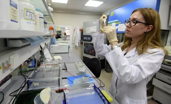 Россия начала испытания вакцины от коронавируса - «Новороссия»