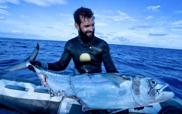 Рыбак сразился с тремя акулами за свой улов - «В мире»