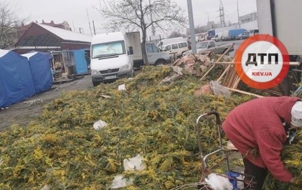 Свалку мимоз обнаружили в Киеве после 8 марта - «Украина»