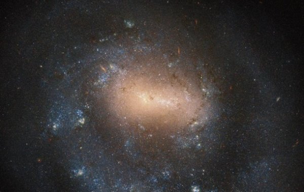 Телескоп Hubble снял "однорукую" галактику - «Наука»