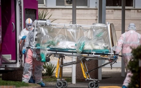 Ученые прокомментировали первую смерть от хантавируса в Китае - «Наука»