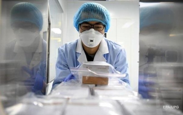 В Италии впервые в Европе испытают на животных вакцины от COVID-19 - «В мире»