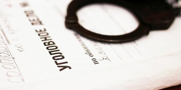 В России раскрывается лишь половина преступлений - «Политика»