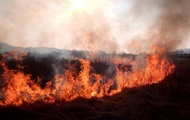 На Закарпатье произошел пожар в Долине нарциссов - «Фото»