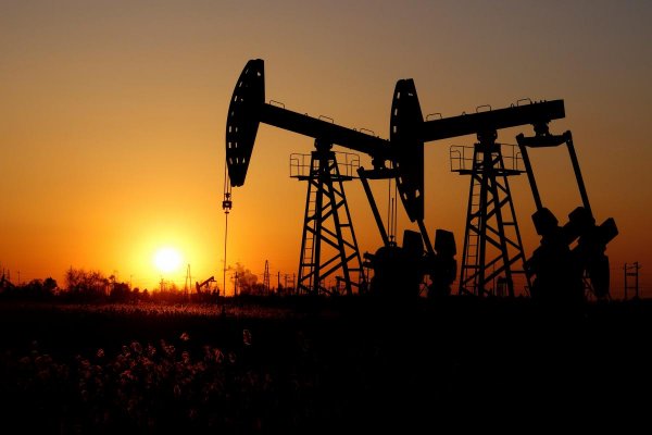 Цена на нефть марки Brent превысила отметку $30 за баррель - «Новороссия»