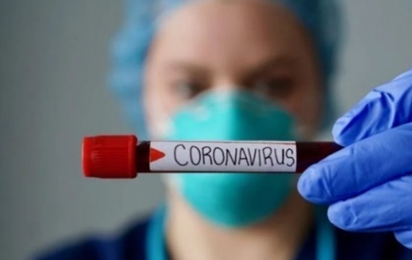 COVID в мире: заражены почти 1, 8 млн человек - «В мире»