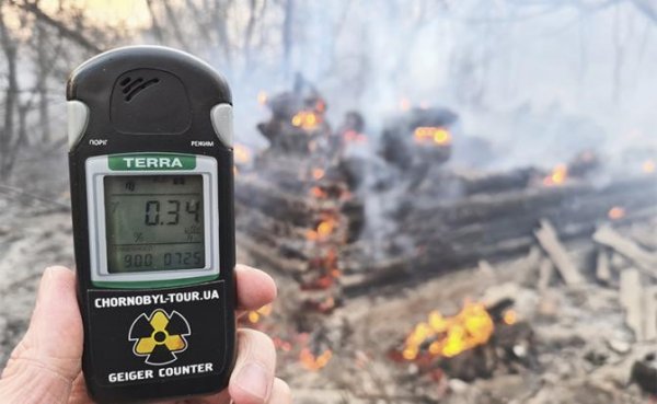 Горящий Чернобыль: COVID-19 на фоне ядерной угрозы кажется легким насморком - «Происшествия»