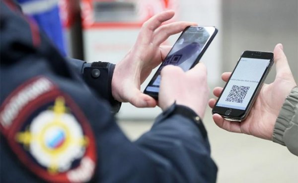 Электронными пропусками власти роют себе могилу - «Политика»