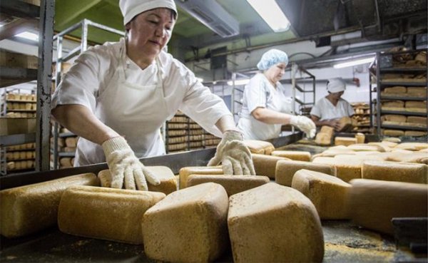Это не фейк: Завтра и хлеб в России станет дороже - «Экономика»