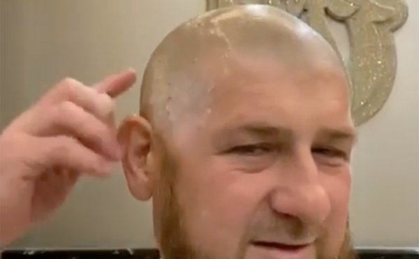 Кадыров побрился налысо после просьб открыть парикмахерские - «Новороссия»