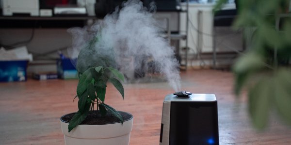 Коронавирус оказался малоактивным при определенной влажности воздуха - «Политика»