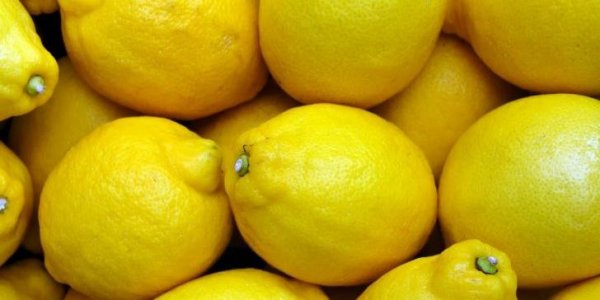 Лимоны в России подорожают после решения Турции - «Политика»