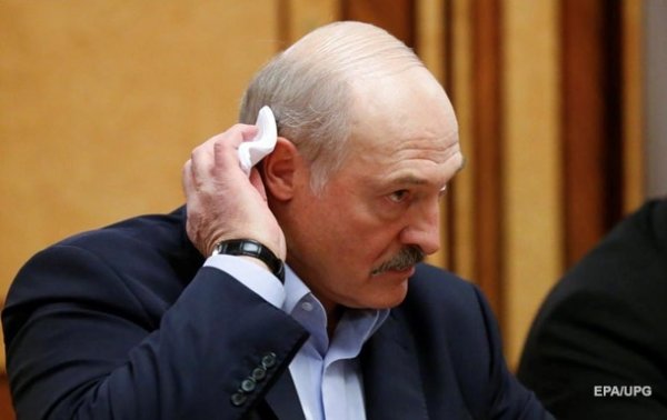 Лукашенко о карантине: Жрать что будем? - «В мире»