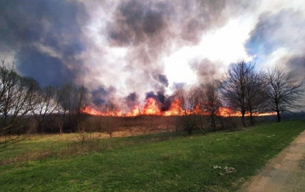 На Полтавщине 120 спасателей потушили масштабный пожар - (видео)