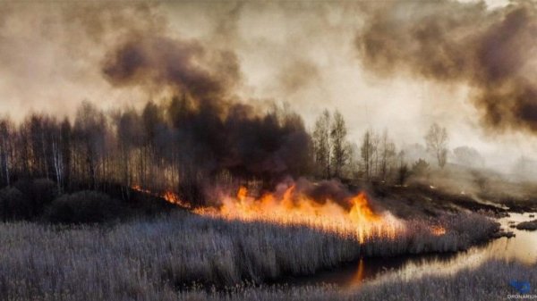 На Украине заявили об уничтожении трети туристических объектов в зоне ЧАЭС - «Новороссия»