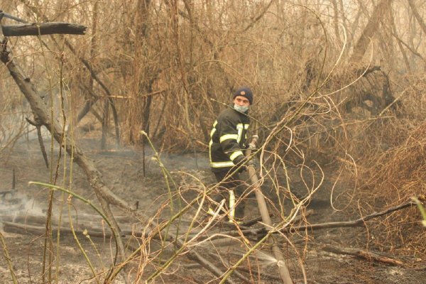 Огромный столб дыма от пожара возле ЧАЭС несётся в сторону Киева - «Новороссия»