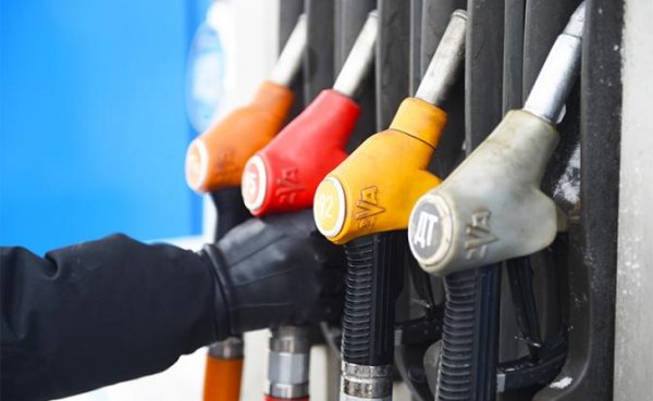 Особенности «Путиномики»: Нефть вниз, а бензину все равно - «Экономика»