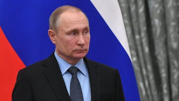 Президент России одобрил ужесточение наказания за порчу леса - «Новороссия»