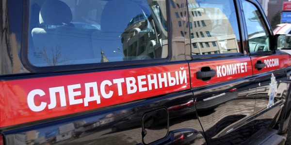 СК раскрыл хищения при создании отечественных боевых роботов - «Политика»
