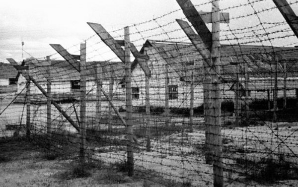 СК РФ возбудил дело о геноциде в карельских концлагерях во время Великой Отечественной - «Новороссия»