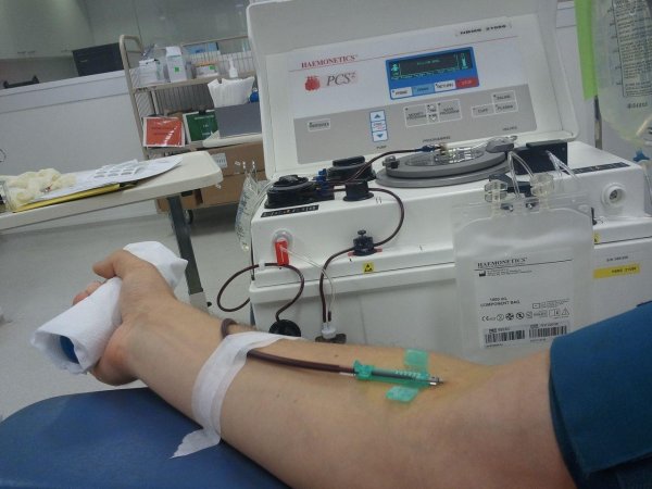 Союз Добровольцев Донбасса присоединился к акции добровольной сдачи донорской крови - «Новороссия»