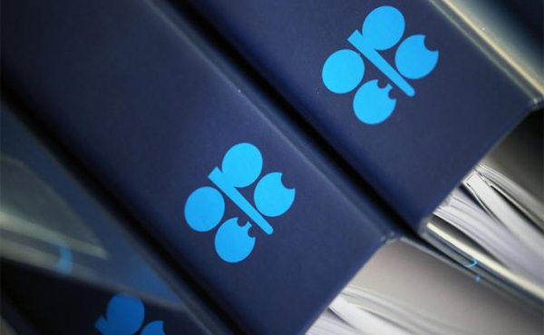 Сокращение или смерть: Трамп подогревает нефть твитами и пугает санкциями перед встречей ОПЕК - «Экономика»