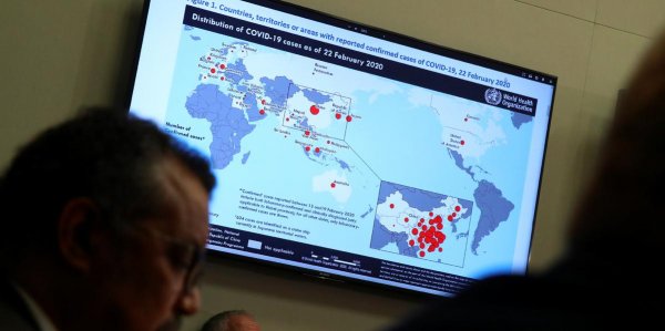 Стал известен прогноз по коронавирусу для разных стран мира - «Политика»