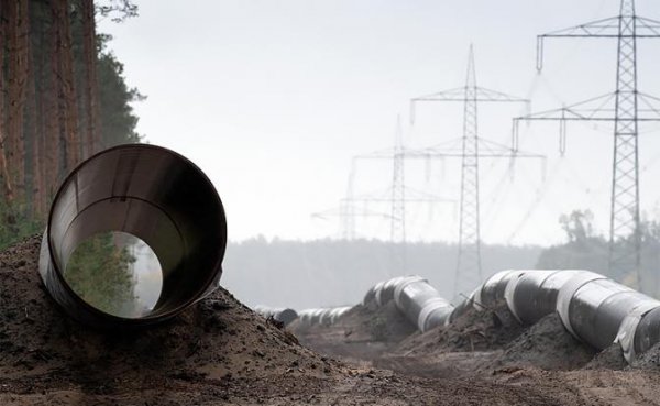 Труба «Газпрома» отравит Балтику: США придумали, как остановить «Северный поток-2» навсегда - «Экономика»